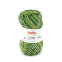 Capri tones 100% Coton mercerisé Katia 305 vert pistache