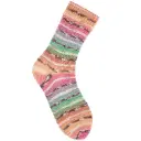 Fil pour chaussette Rico Superba Bamboo 4 fils Pink rainbow earthy 057