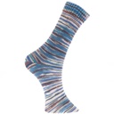 Fil pour chaussette Rico Superba Bamboo 4 fils brun pétrole 042