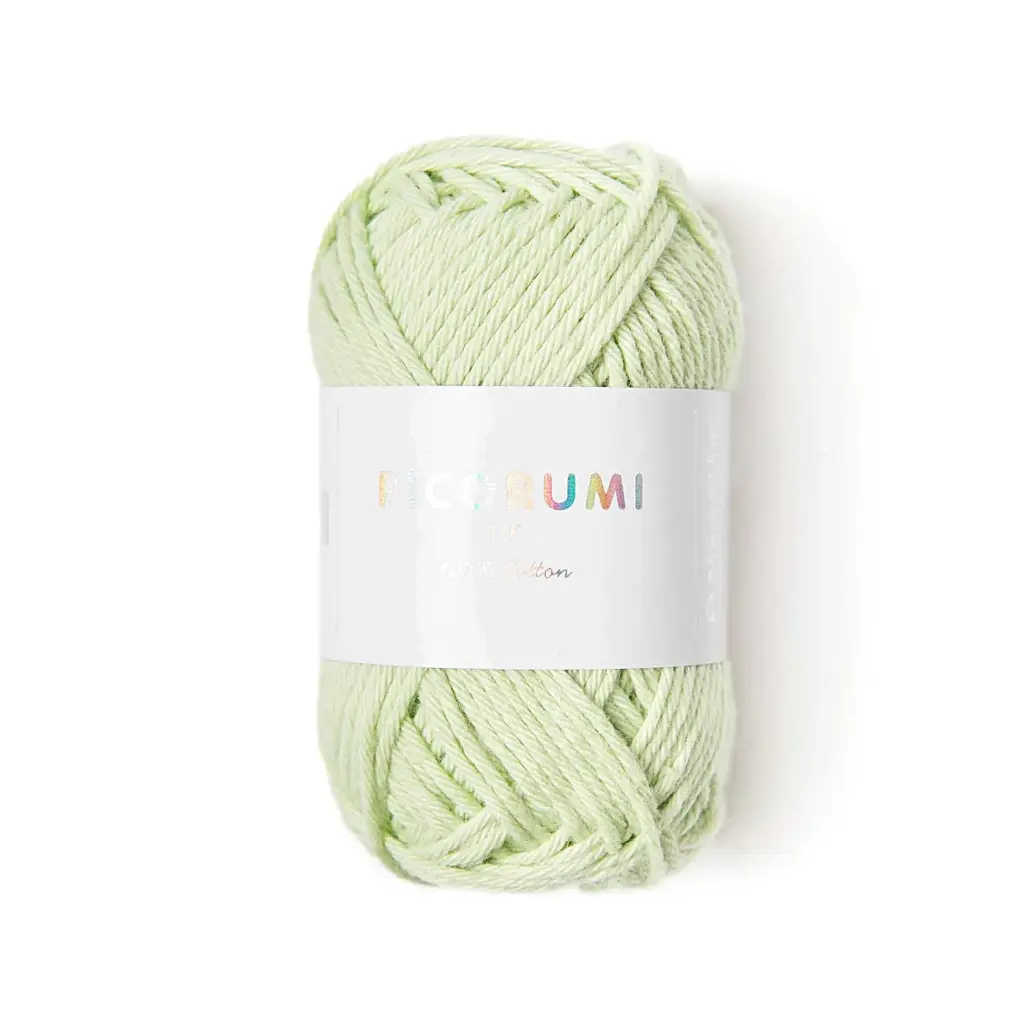 Ricorumi DK 25grs Vert pastel 045