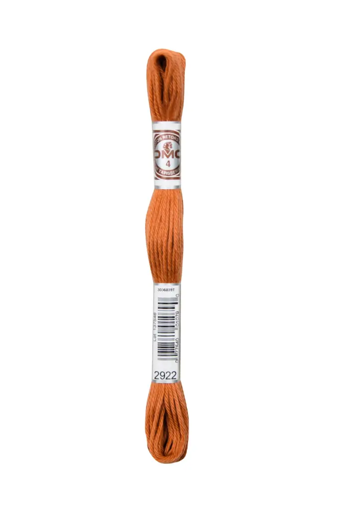 Fil à broder Retors Mat DMC 2922 Nougatine