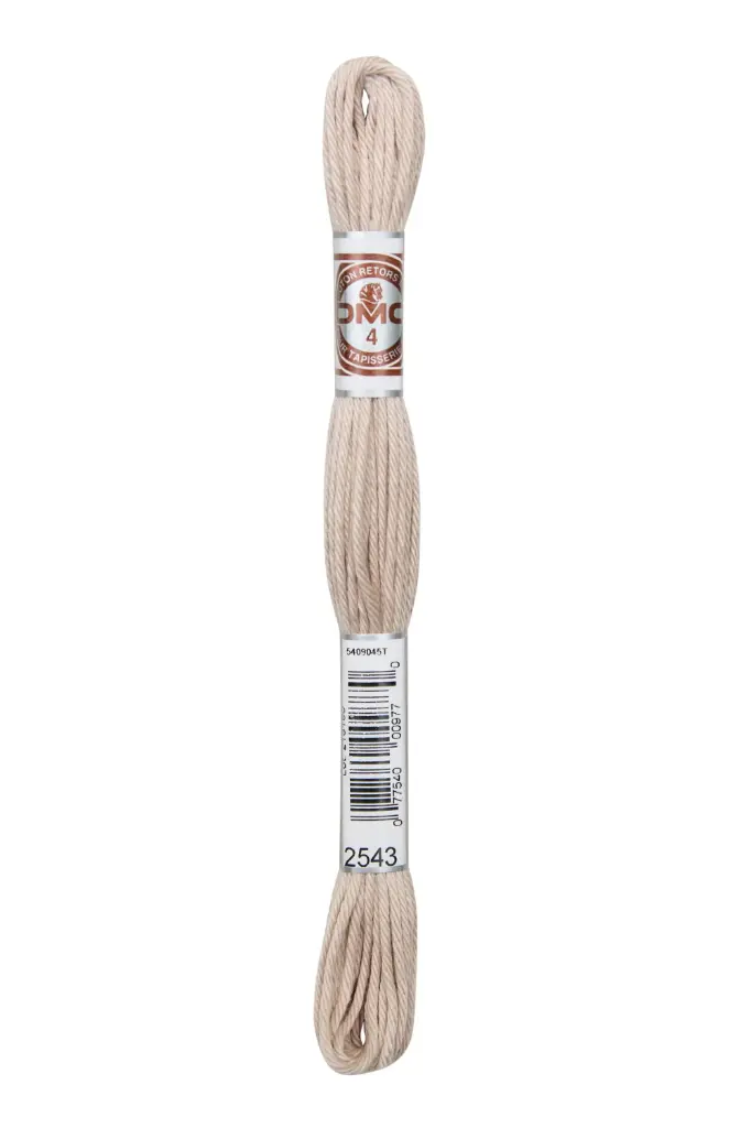 Fil à broder Retors Mat DMC 2543 Soie brute