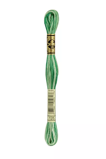 [117MC125] Fil à broder Mouliné Spécial DMC 125  Vert printemps ombré