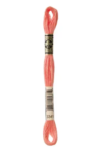 [117MC3341] Fil à broder Mouliné Spécial DMC 3341 Pêche