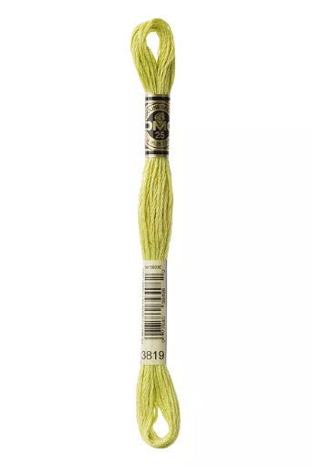 [117MC3819] Fil à broder Mouliné Spécial DMC 3819 Vert anis 