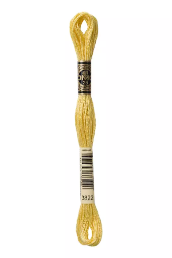 [117MC3822] Fil à broder Mouliné Spécial DMC 3822 Camomille