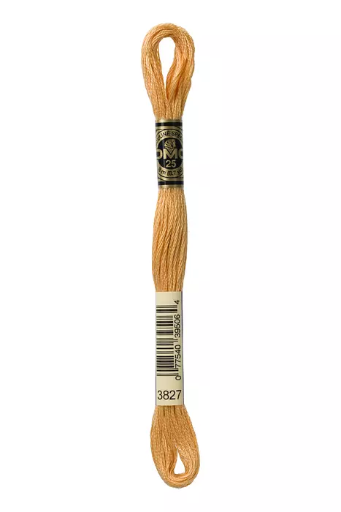 [117MC3827] Fil à broder Mouliné Spécial DMC 3827 Hêtre 