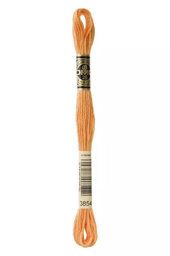 [117MC3854] Fil à broder Mouliné Spécial DMC 3854 Epices 