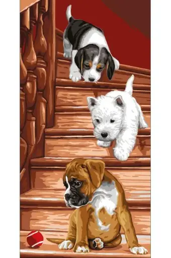 [9880138.03] Caneva Royal Paris Les chiots ( sans fils)