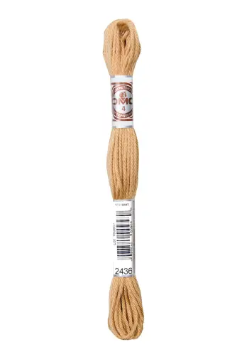[89E2436] Fil à broder Retors Mat DMC 2436 Teddy Métallique