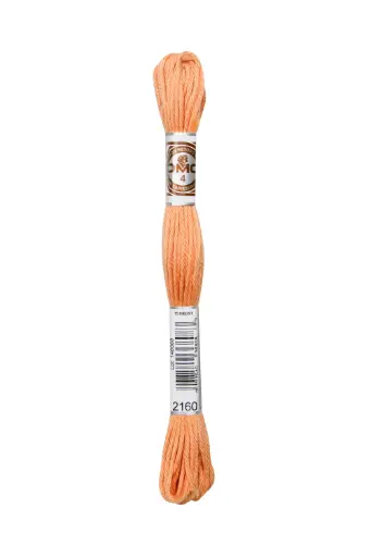 [89E2160] Fil à broder Retors Mat DMC 2160 Poterie