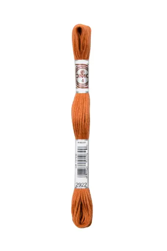 [89E2921] Fil à broder Retors Mat DMC 2921 Brun tomette