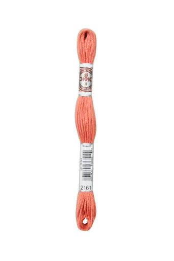 [89E2161] Fil à broder Retors Mat DMC 2161 Abricot