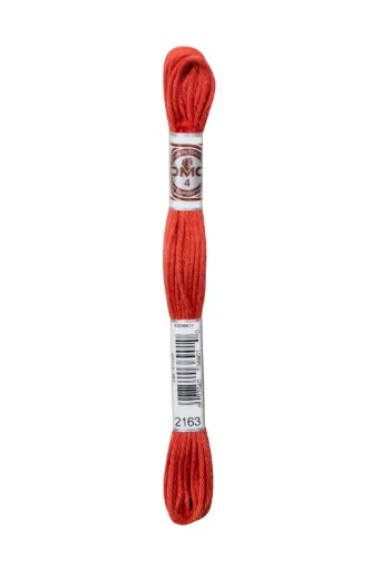 [89E2163] Fil à broder Retors Mat DMC 2163 Feu