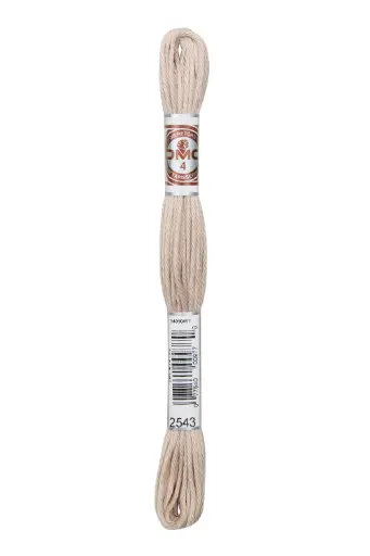 [89E2543] Fil à broder Retors Mat DMC 2543 Soie brute