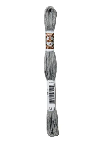 [89E2318] Fil à broder Retors Mat DMC 2318 Granit gris