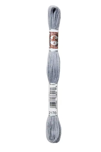 [89E2170] Fil à broder Retors Mat DMC 2170 Chrome métallisé